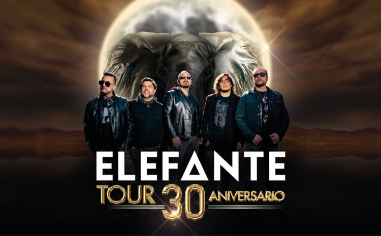 ELEFANTE
